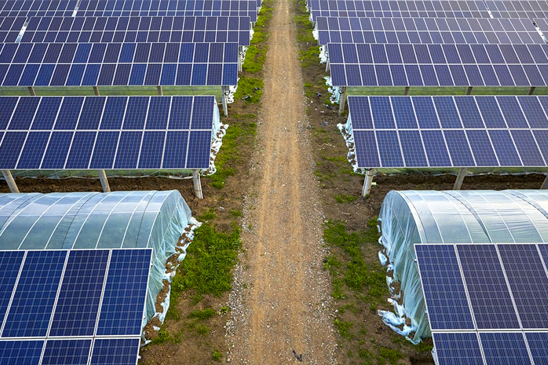 SERRE PHOTOVOTAIQUE SPHERIQUE ABC ENERGIES